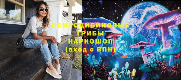 тгк Нея