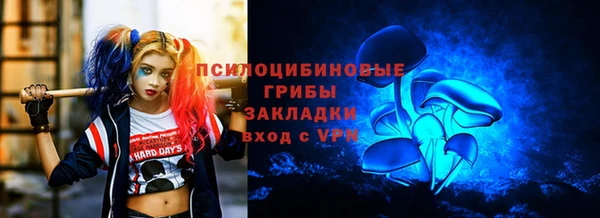 тгк Нея