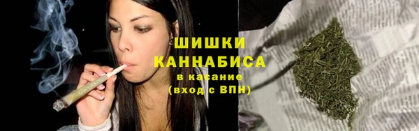 тгк Нея
