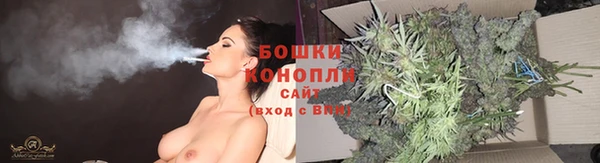 стаф Нефтекумск