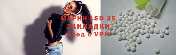 тгк Нея