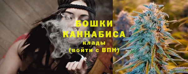 тгк Нея