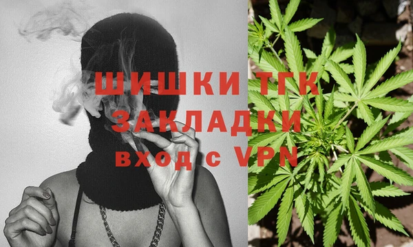 тгк Нея