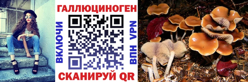 Галлюциногенные грибы Magic Shrooms Клинцы