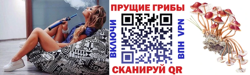 Псилоцибиновые грибы прущие грибы  купить   Клинцы 